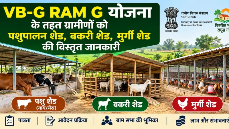 VB-G RAM G योजना में पशु शेड, बकरी शेड और मुर्गी शेड: पात्रता व आवेदन